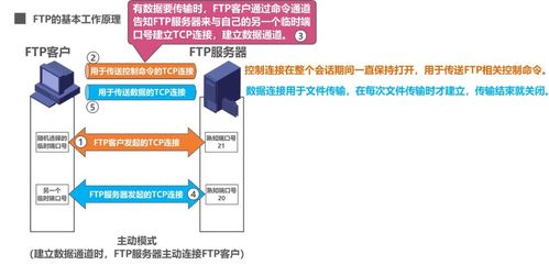 計算機網絡應用層 域名系統DNS、文件傳送協議FTP與計算機系統服務
